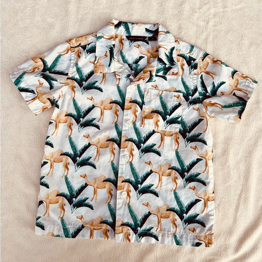 JANIE and JACK | OLD NAVY Short Sleeve Shirt & 2-Piece Swim Set | 2T | Preowned - Picture 5 of 10